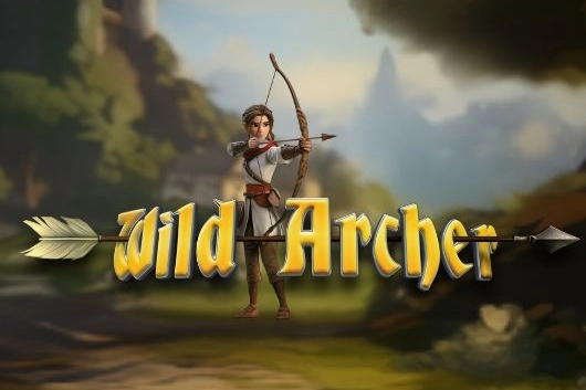 08764 wild archer
