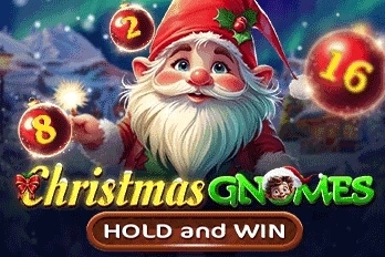 21558 christmas gnomes